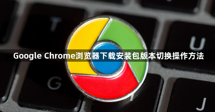 Google Chrome浏览器下载安装包版本切换操作方法1