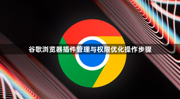 谷歌浏览器插件管理与权限优化操作步骤1