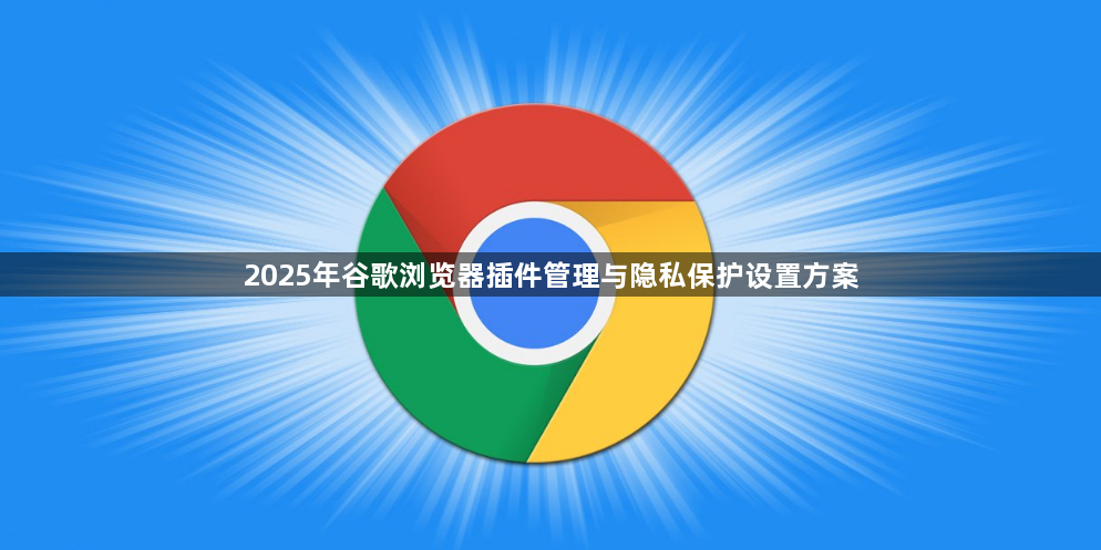 2025年谷歌浏览器插件管理与隐私保护设置方案1
