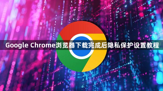 Google Chrome浏览器下载完成后隐私保护设置教程1