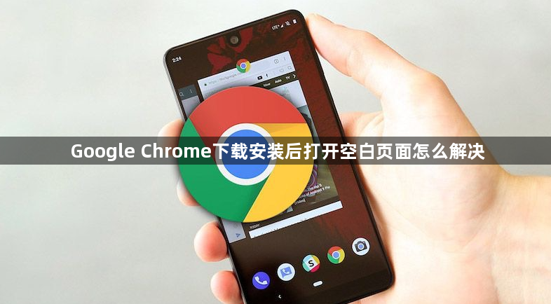 Google Chrome下载安装后打开空白页面怎么解决1
