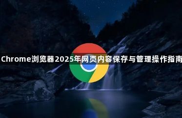 Chrome浏览器2025年网页内容保存与管理操作指南1