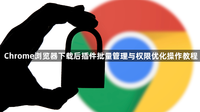 Chrome浏览器下载后插件批量管理与权限优化操作教程1