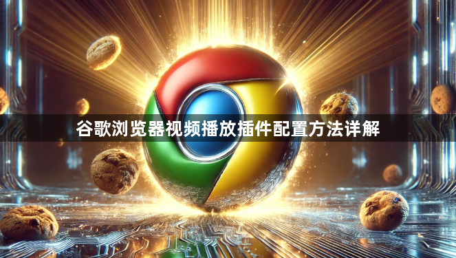 谷歌浏览器视频播放插件配置方法详解1