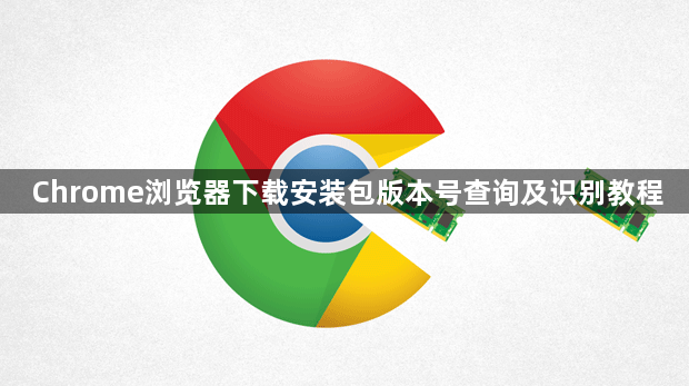 Chrome浏览器下载安装包版本号查询及识别教程1