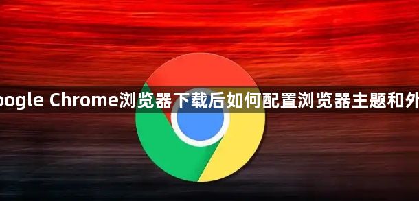 google Chrome浏览器下载后如何配置浏览器主题和外观1