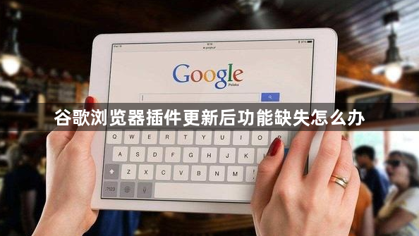 谷歌浏览器插件更新后功能缺失怎么办1