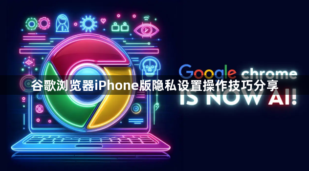 谷歌浏览器iPhone版隐私设置操作技巧分享1