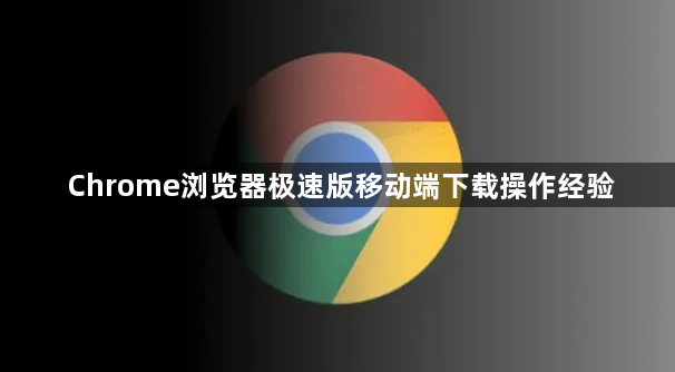 Chrome浏览器极速版移动端下载操作经验1