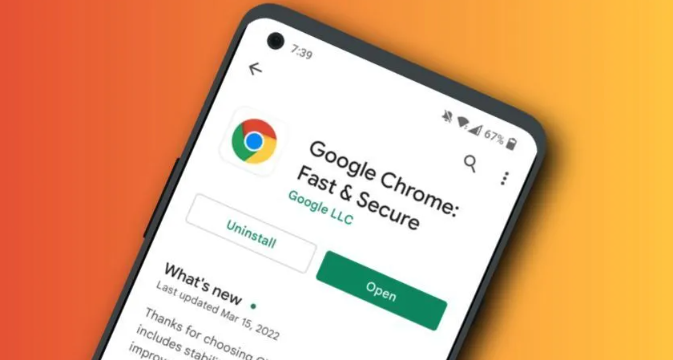 Chrome浏览器自动填表功能怎么用