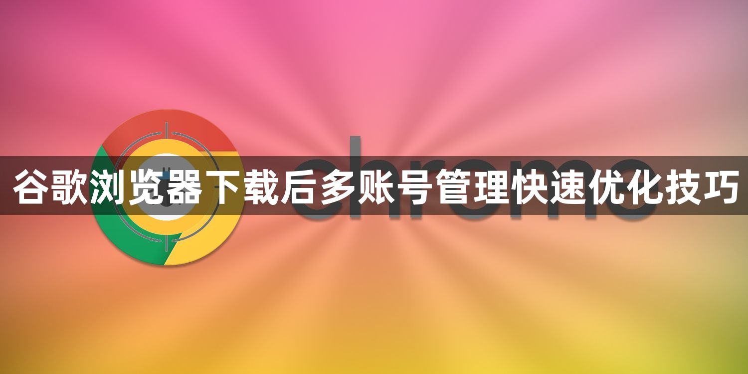 谷歌浏览器下载后多账号管理快速优化技巧1