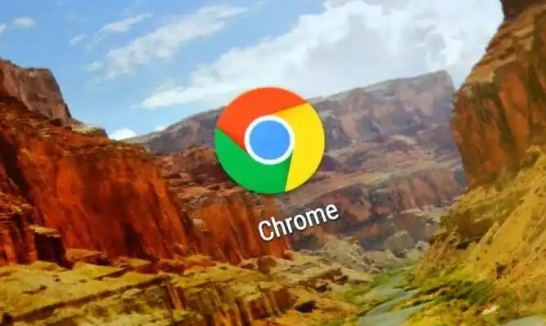Google Chrome浏览器自动填充功能教程