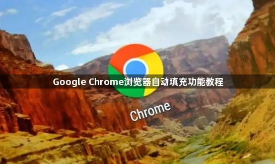 Google Chrome浏览器自动填充功能教程1