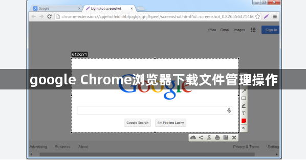 google Chrome浏览器下载文件管理操作1