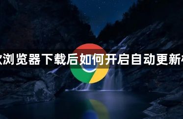 谷歌浏览器下载后如何开启自动更新检查1